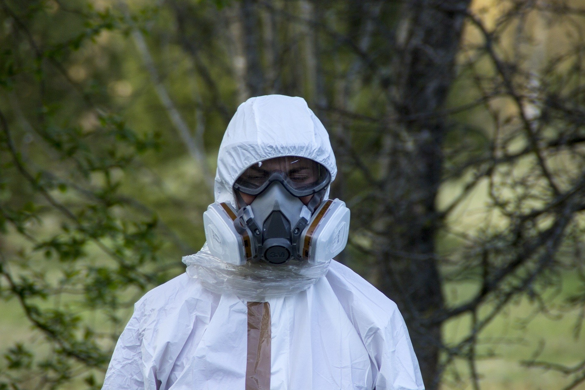 EPA-licensed asbestos removal contractor